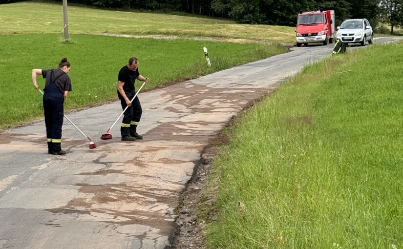 Einsatz 04/2024 – Verunreinigung